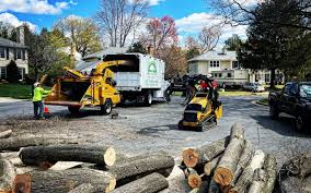 Why Choose Our Tree Removal Services in Weweantic, MA?