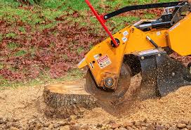 Best Tree Mulching Services  in Weweantic, MA